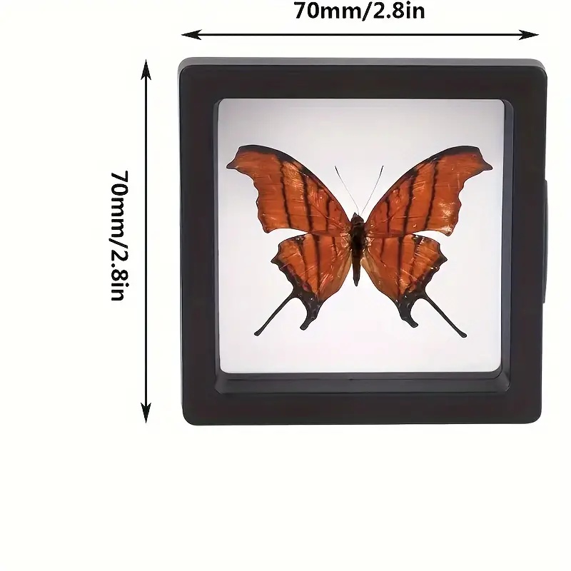 20 adet Clearview 3D Yüzen Vit - Model Kit Display incelemesi ve fiyatı